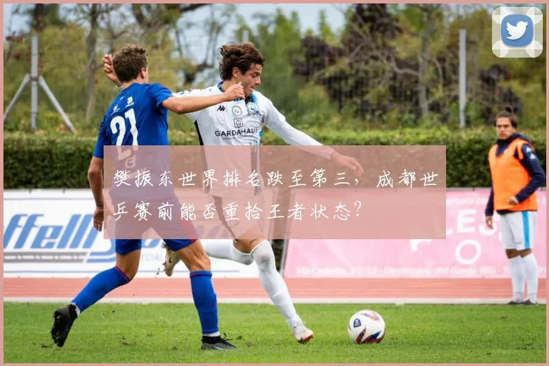 樊振东世界排名跌至第三，成都世乒赛前能否重拾王者状态？