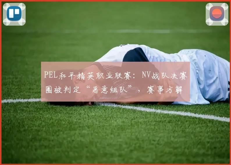 PEL和平精英职业联赛：NV战队决赛圈被判定“恶意组队”，赛事方解释遭观众炮轰